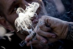 スイスの薬物 大麻が最も普及 Swi Swissinfo Ch