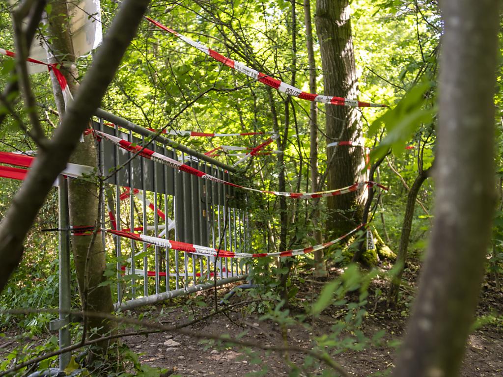 Entrées Et Séjours Illégaux En Suisse En Forte Baisse à Cause Du ...