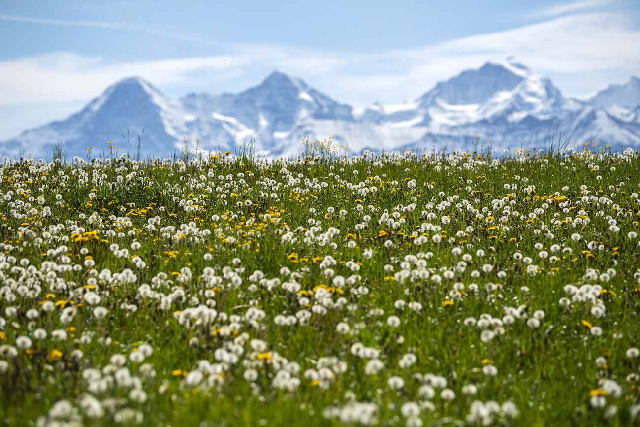 EPFL develops algorithm to rate scenic landscapes - SWI swissinfo.ch