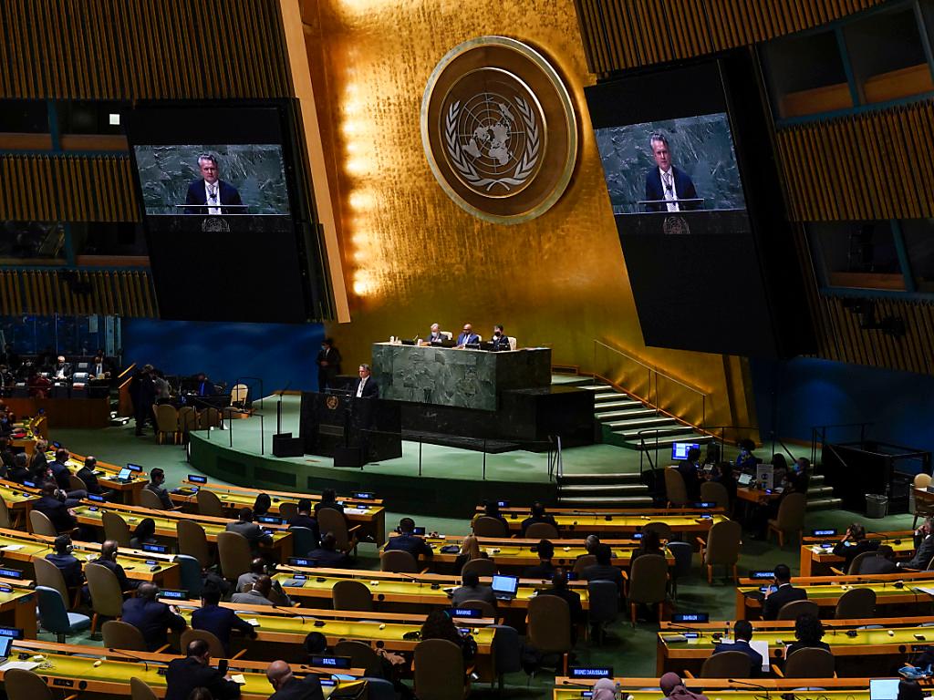 Ассамблея оон резолюции. Генассамблея ООН 2022. Представители ООН. Генассамблея ООН 2022 по Украине. Резолюция Генассамблеи ООН.