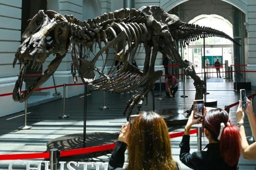 Esqueleto de Tiranossauro Rex será leiloado na Suíça, Mundo