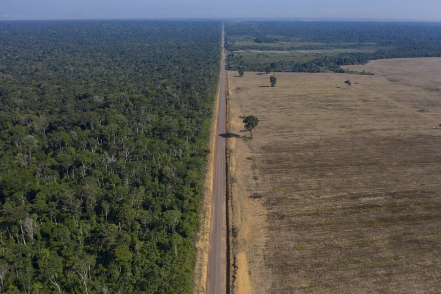 L'Accordo quadro sulla biodiversità ci aiuterà a vivere in armonia con la natura?