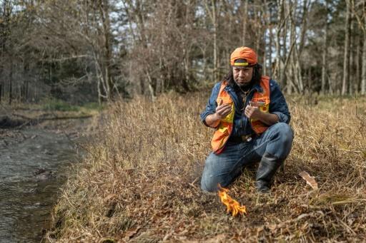 El bosque de los suicidios japonés estuvo muy cerca de ser