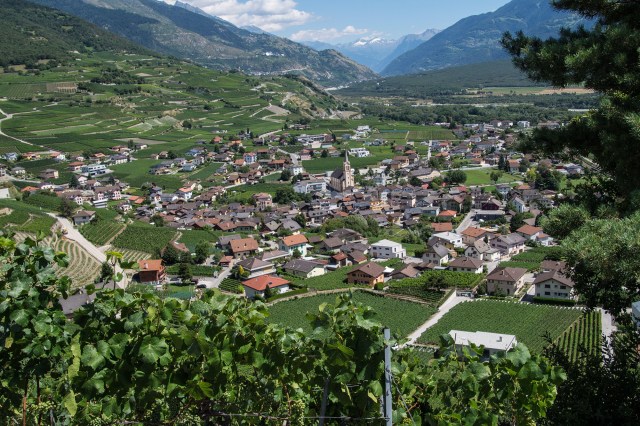 Der Wasserknappheit trotzen: Schweizer Weindorf testet innovative