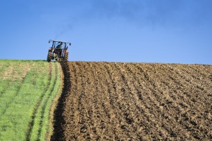Швейцария может урезать бюджетную помощь фермерам