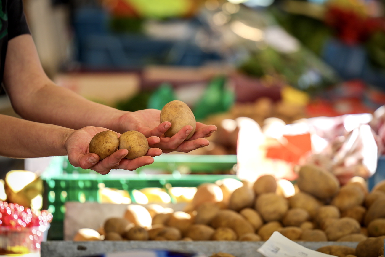 Switzerland forced to import potatoes for chips and crisps - SWI  swissinfo.ch