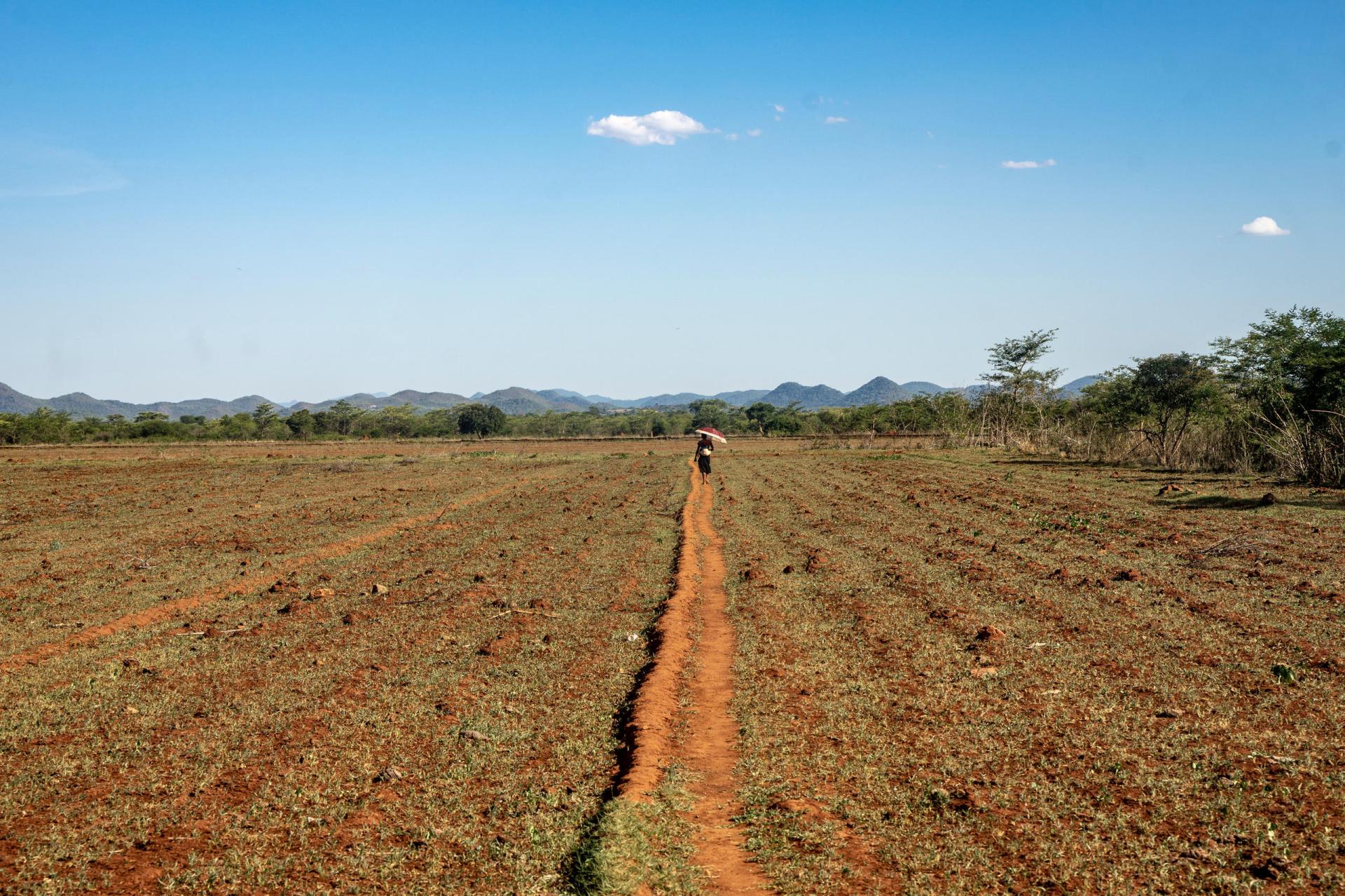 EU and Switzerland Invest Over 200 Million Euros to Boost Zimbabwe’s Agriculture, Combat Climate Change