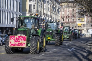 Why Swiss farmers are rising in protest